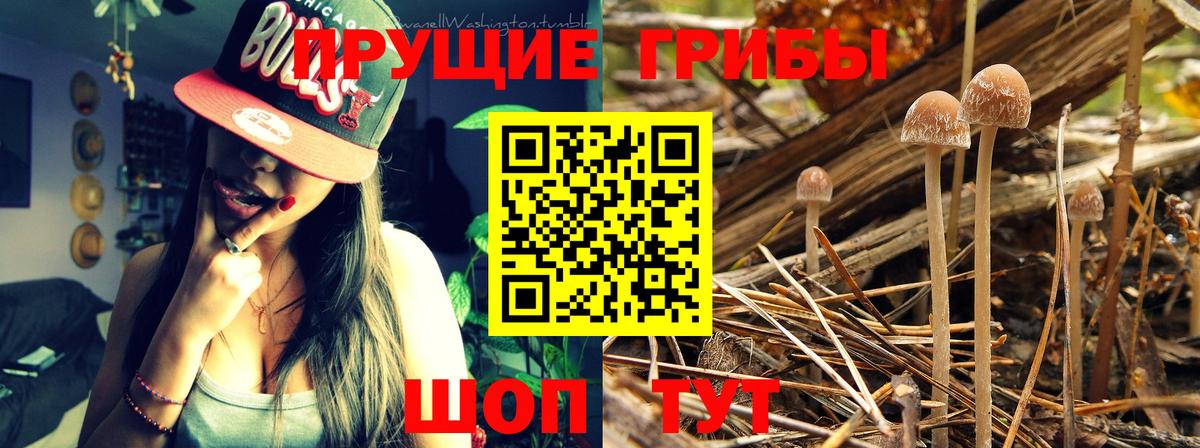 Псилоцибиновые грибы MAGIC MUSHROOMS Обь